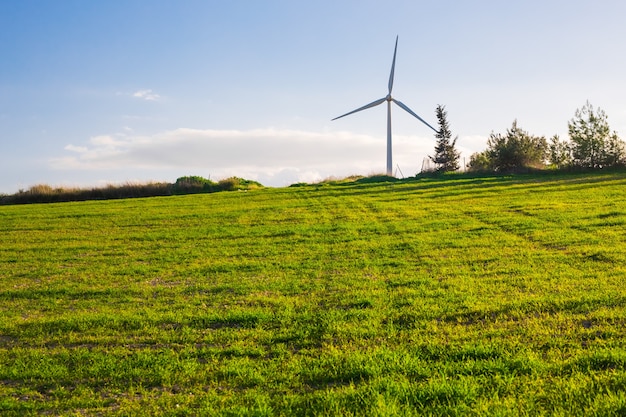 Groene weide met windturbines die elektriciteit opwekken.