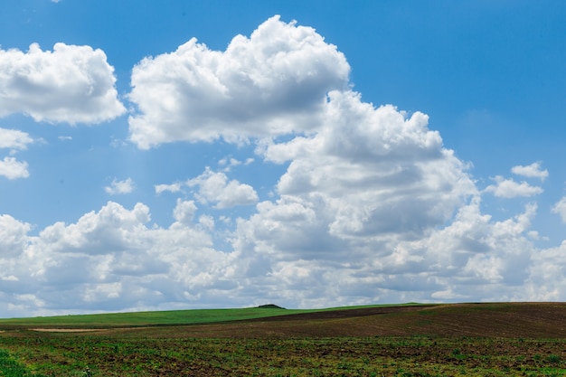 Groene weide onder blauwe hemel met wolken