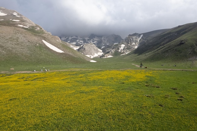 Groene weide tussen besneeuwde bergen