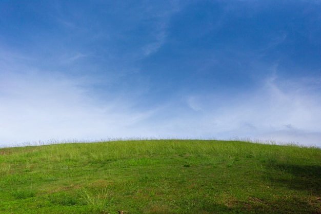 Groene weiden met blauwe lucht en wolkenachtergrond