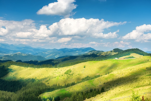 Groene zonnige vallei in bergen en heuvels. Natuur landschap