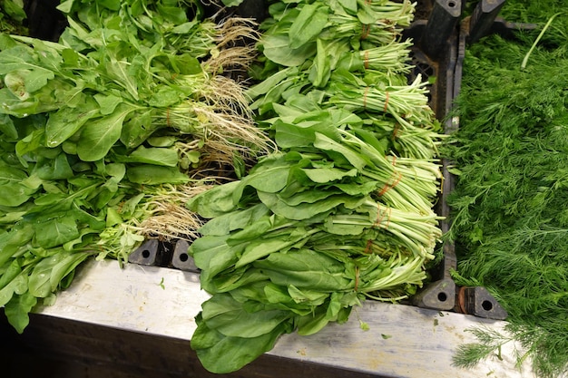 Groenteboer vers bladpeterselie dille rucola tuinkers readytosale ontbijtgroenten