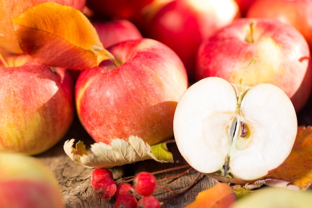 Groenten en fruit in de herfst buiten. Thanksgiving vakantie concept