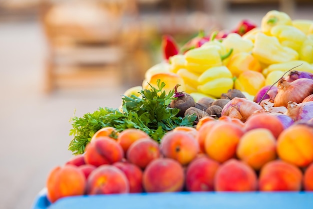 Groenten en fruit op een boerenmarkt.