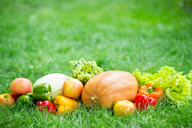 Groenten en fruit op groen gras