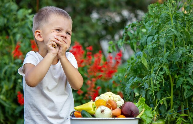 Groenten in de handen van kinderen op de boerderij. Selectieve aandacht. Natuur