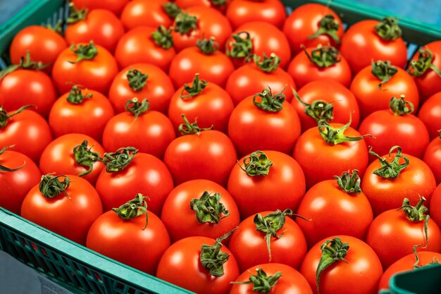 Groenten: verse rode tomaten.