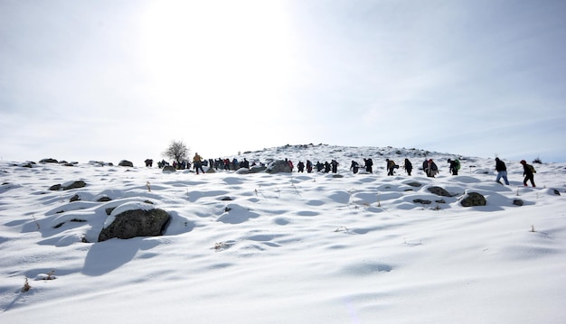 Groep bergbeklimmers wandelen door de bergen bedekt met snowxAxA