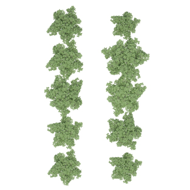 groep bomen, bovenaanzicht, geïsoleerd op een witte achtergrond, 3D illustratie, cg renderen