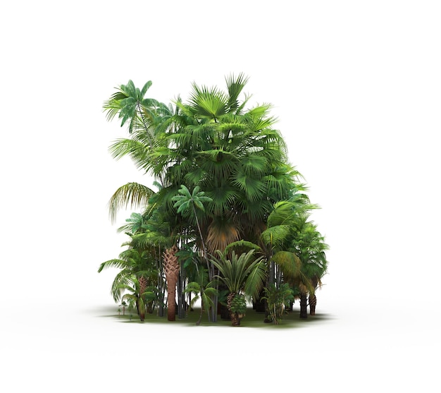 groep bomen met een schaduw op de grond geïsoleerd op een witte achtergrond bomen in het bos 3D