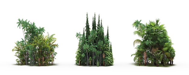 groep bomen met een schaduw op de grond geïsoleerd op een witte achtergrond bomen in het bos 3D