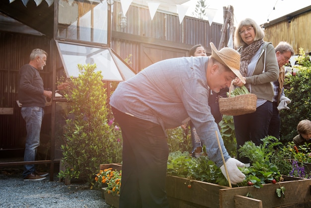 Foto groep die mensen groente in serre planten