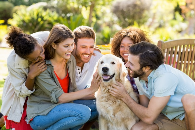 Groep gelukkige vrienden die samen met de hond zitten