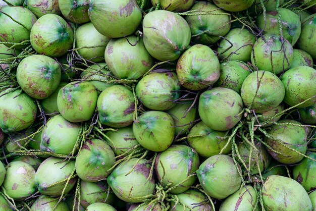 Groep groene kokosnoten met een gestructureerde achtergrond