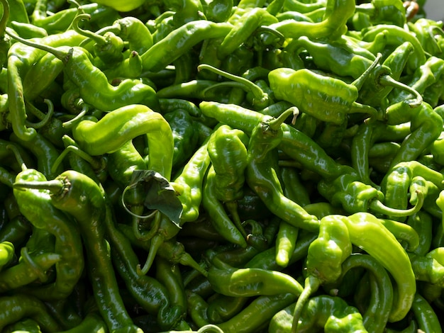 Foto groep groene spaanse pepers voor verkoop in verse markt