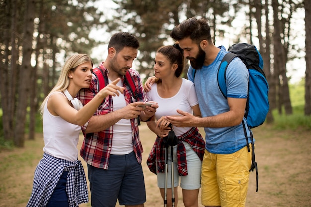 Groep jonge mensen die in berg bij de lentedag wandelen