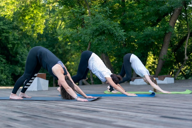 Groep jonge vrouwen beoefenen yoga in neerwaartse hondpositie in park adho mukha svanasana ochtendfitness