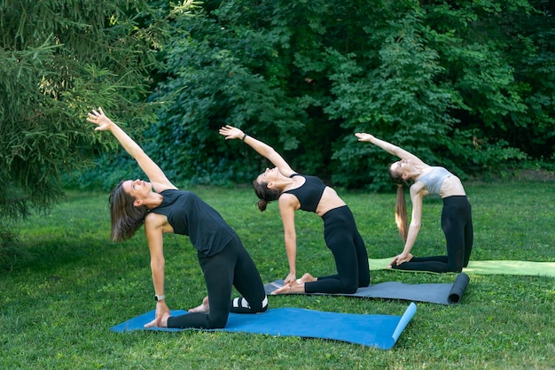 Groep jonge vrouwen beoefent yoga en steekt handen boven de hoofden in het park Meisjes doen buiten fitness