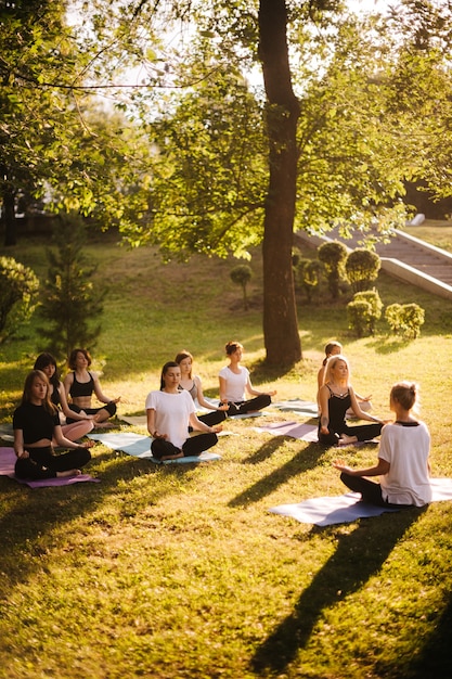 Groep jonge vrouwen mediteren in stadspark op zonnige zomerochtend onder begeleiding van instructeur. Groep vreedzame mensen zit en mediteert buiten in lotushouding op gras met gesloten ogen