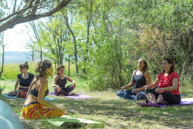 groep mensen die yoga beoefenen in het park vrouwen die zich ontspannen in het park