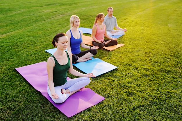 Groep mensen die yoga op het groene gebied doen