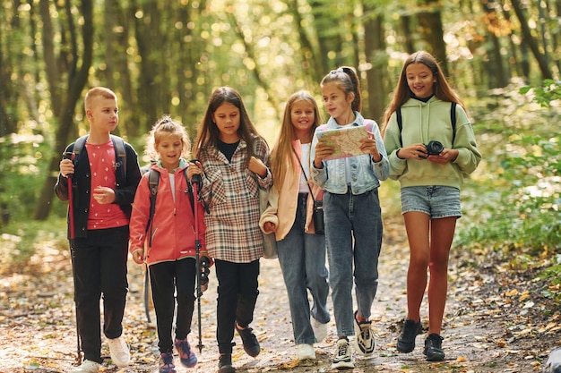 Groep mensen Kinderen in het groene bos op zomerdag samen