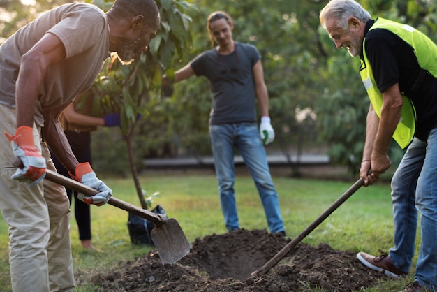 Groep mensen planten samen een boom buitenshuis