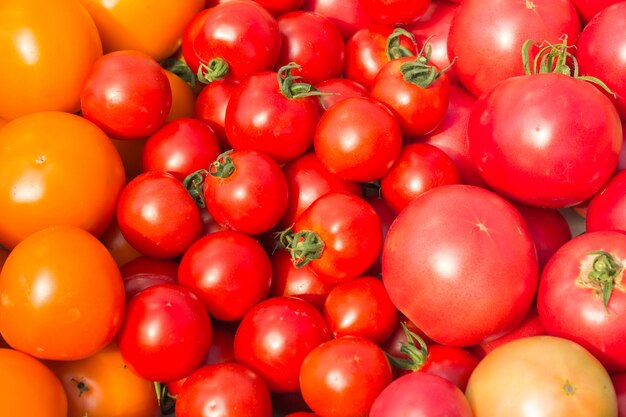 groep mix tomaat rood en oranje