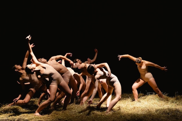 Groep moderne balletdansers Hedendaagse kunst Jonge flexibele atletische mannen en vrouwen