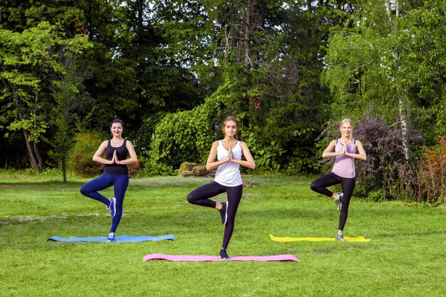 Groep mooie gezonde slijmerige vrouw die oefeningen doet op het groene gras in het park dat staat