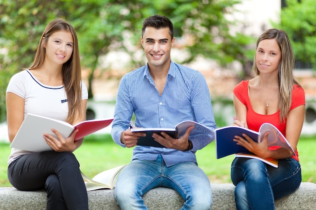 Groep studenten die openlucht bestuderen