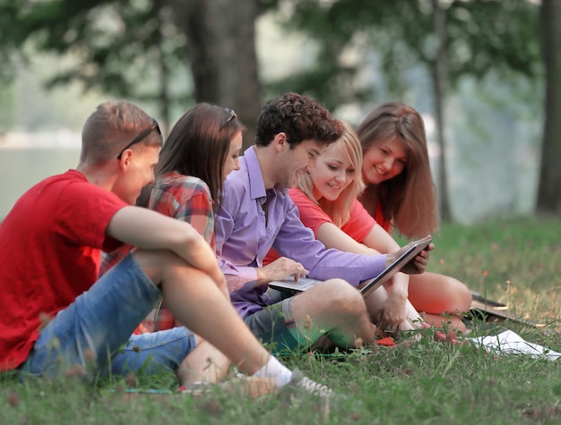 Groep studenten met een laptop zittend op het gras in het Park