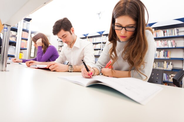 Groep studenten op het werk