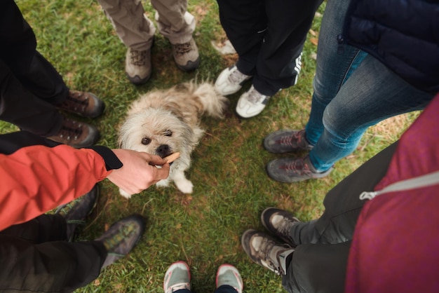 Groep toeristen die hond voeren