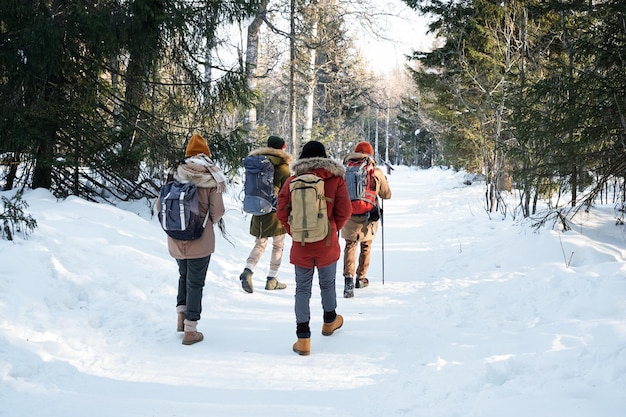 Groep toeristen op winterdag