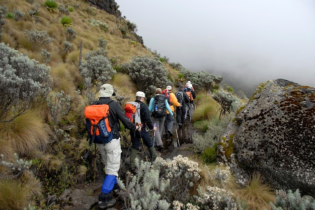 Groep trekkers op een natte voetpad door het fen landschap trek in de mist