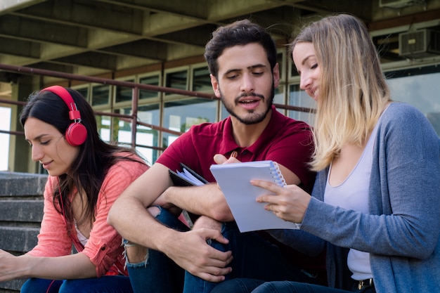 Groep universitaire studenten die samen in openlucht bestuderen