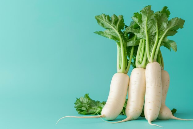 Foto groep van stapel witte radijsjes