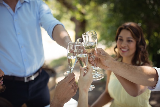 Groep vrienden die champagneglazen roosteren