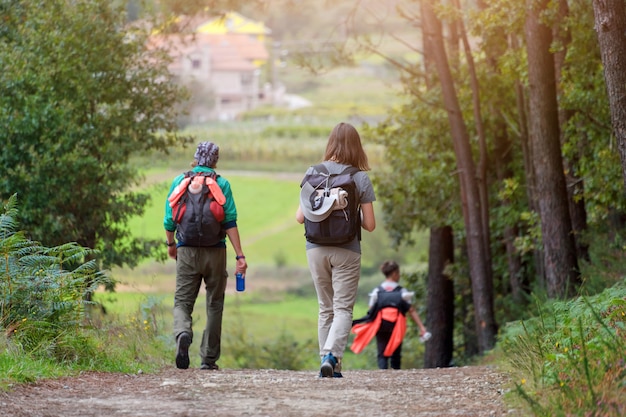 Groep vrienden die met rugzakken in bos van rug lopen. Backpackers wandelen in het bos.