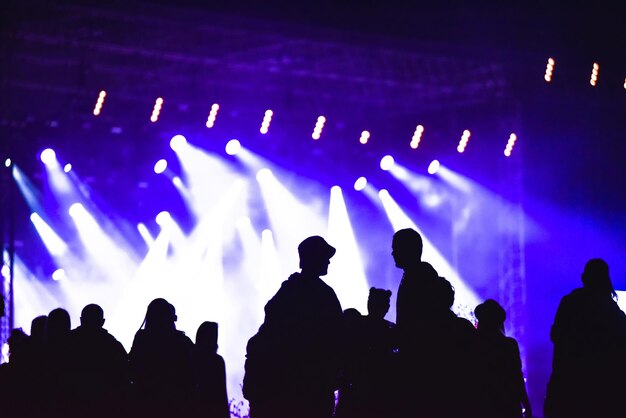 Groep vrienden die samen genieten van een muziekfestival