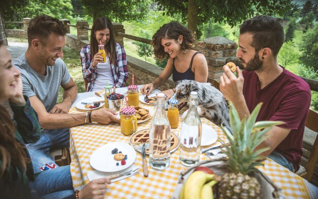 Groep vrienden die tijd doorbrengen met het maken van een picknick