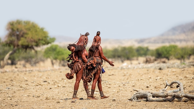 Groep vrouwen van de Himba-stam loopt in nationale kleding door de woestijn.