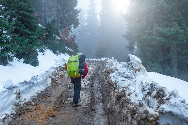 Groep wandelaars die vuile paden betreden door beboste besneeuwde Karpaten