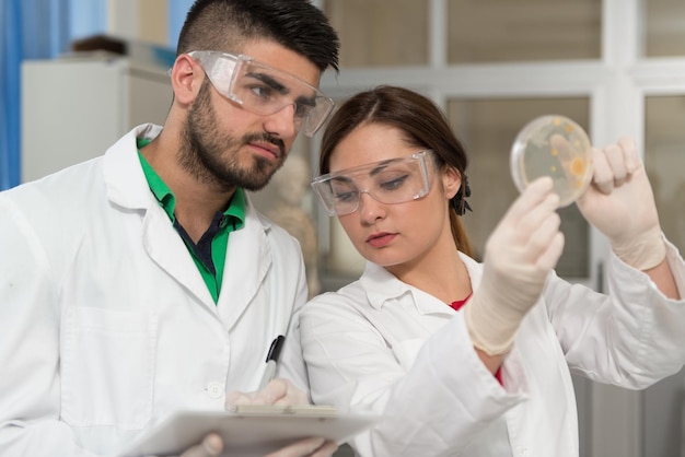 Groep wetenschappers die in het laboratorium werken