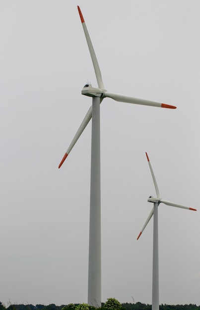 Groep windmolens voor de productie van hernieuwbare elektrische energie.