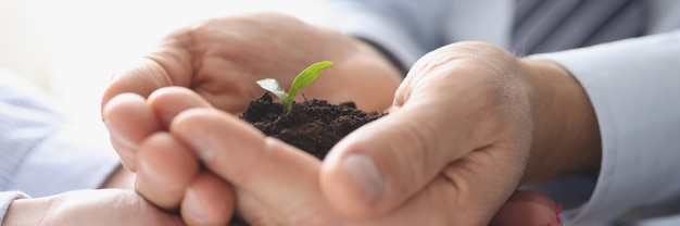 Groep zakenmensen die aarde vasthouden met kleine groene plant in hun handen close-up