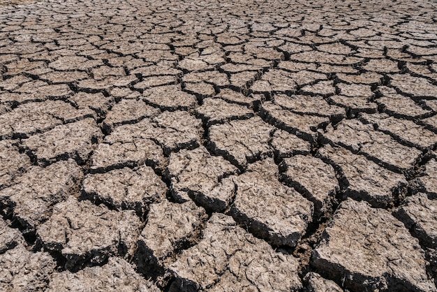 Grond gebroken door de droogte