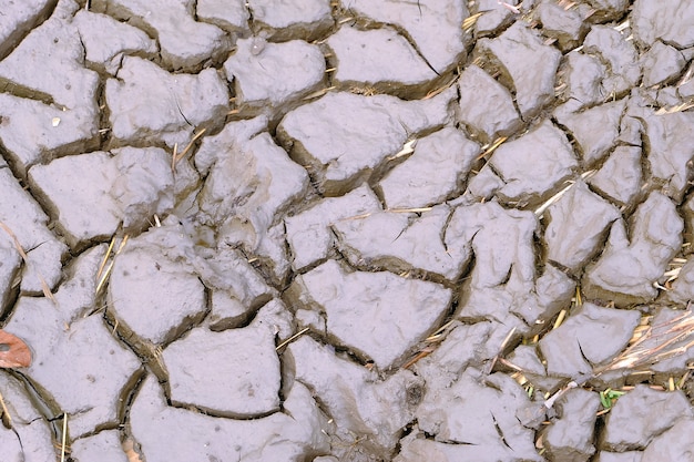 Grond in droogte