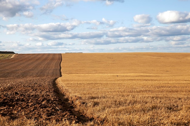 Grondbewerking in het landbouwveld voor het planten van een nieuw gewas